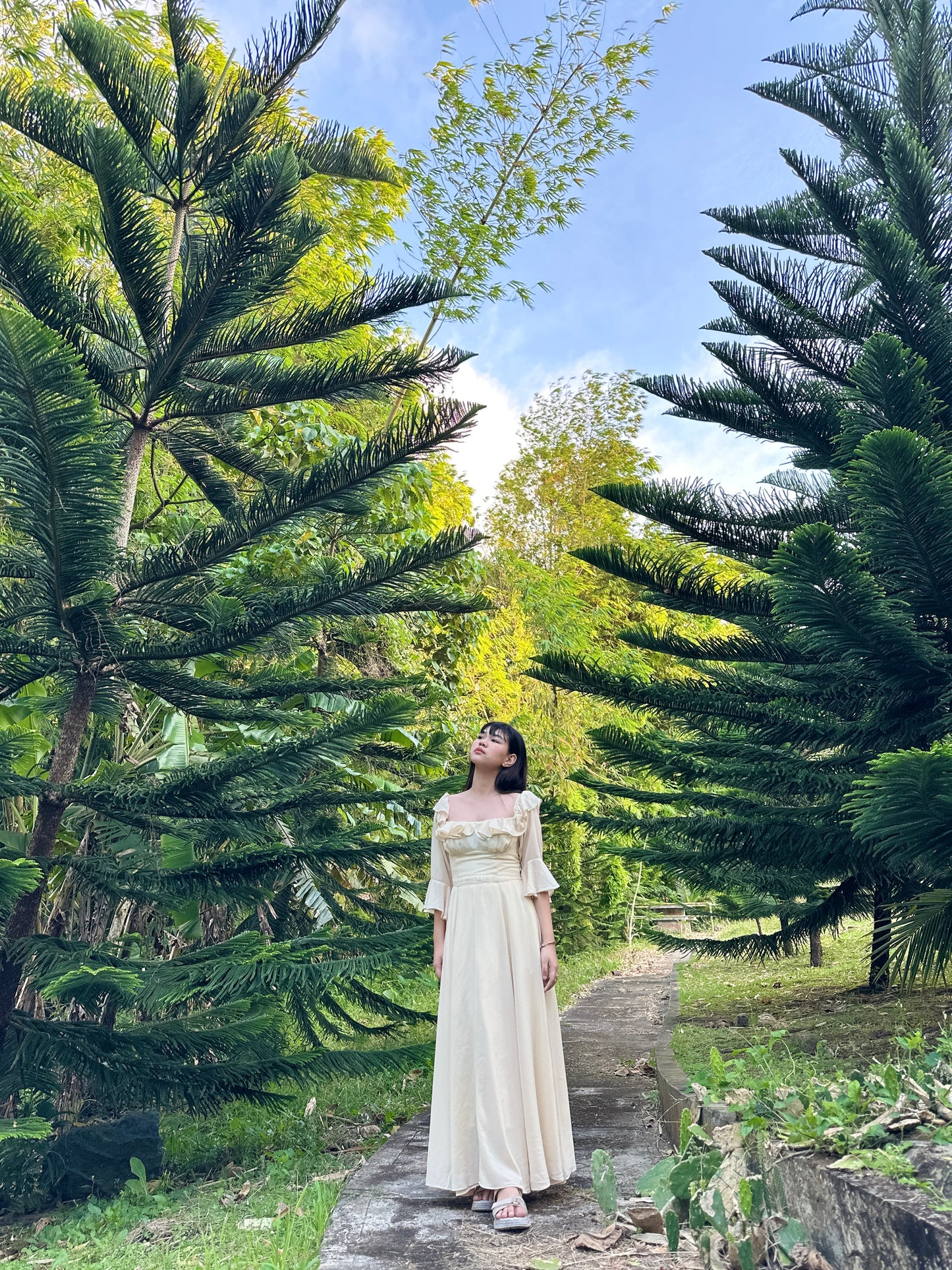 Aurora Dress