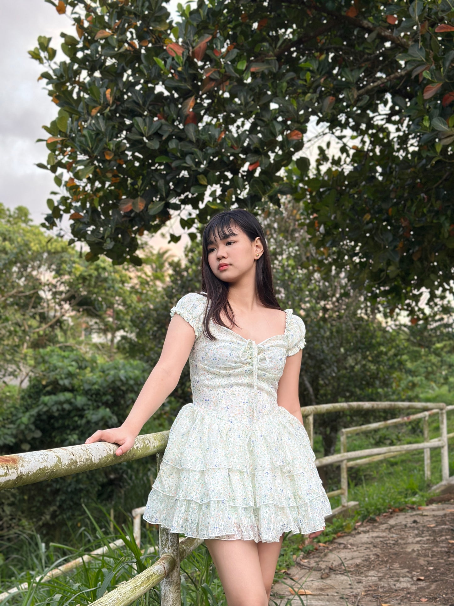 Aine Dress