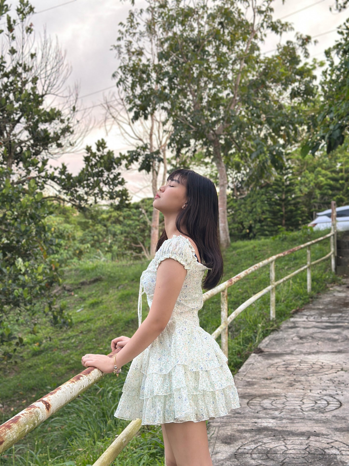 Aine Dress