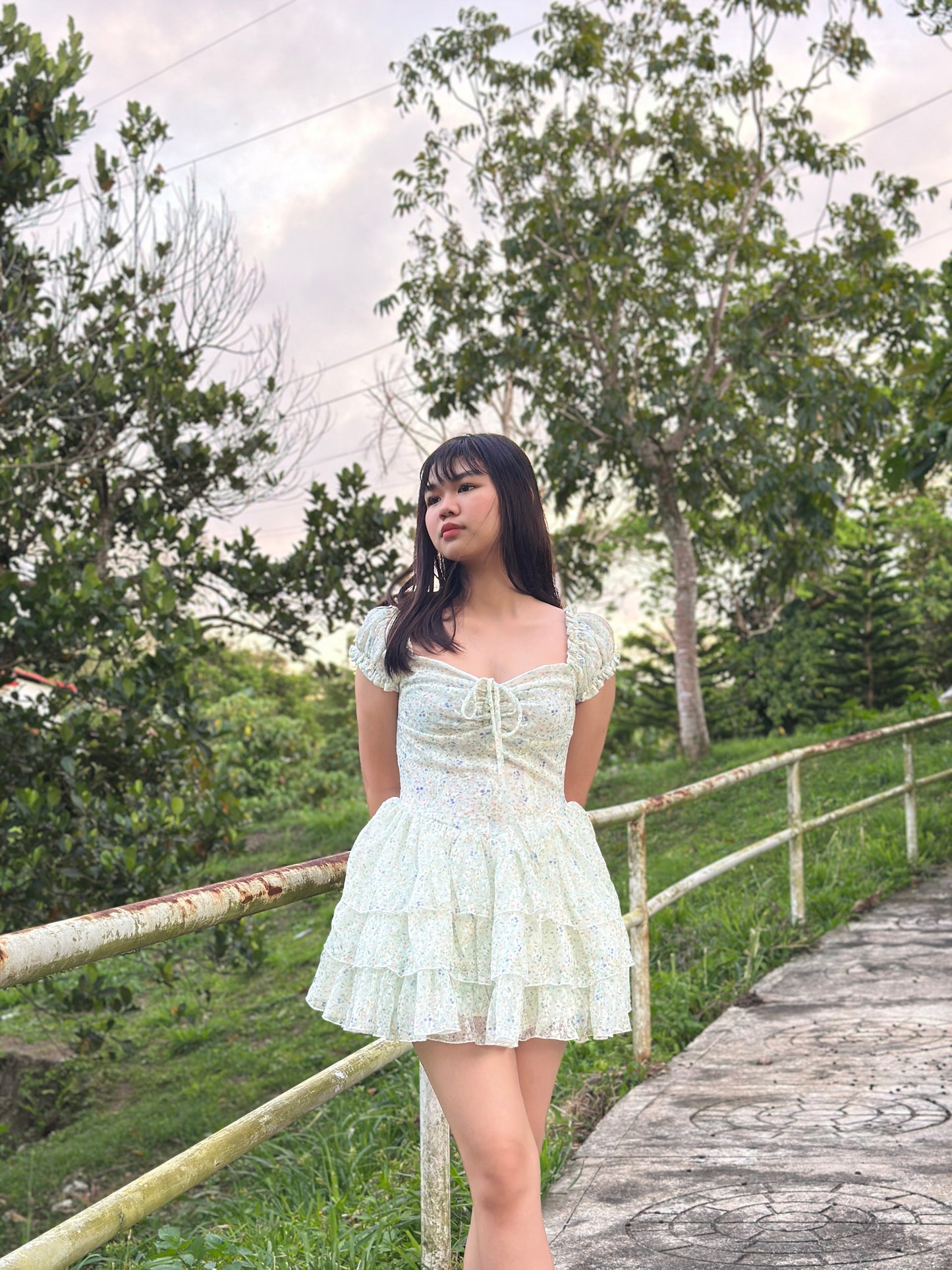 Aine Dress